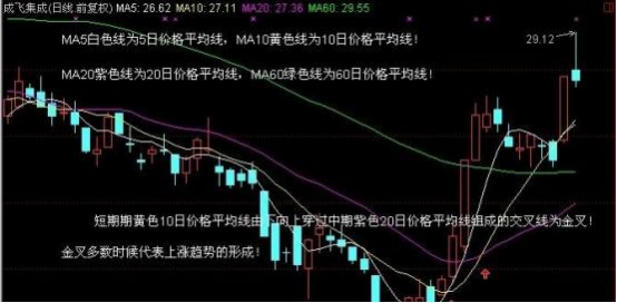 2c507cfbf4572d1070a28121b5cef03d