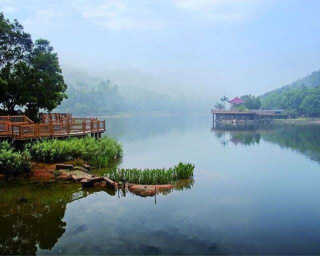 简单实用的8个炒股小技巧！