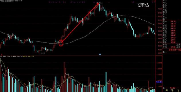 8f40bb70dc6bb2d3cb6d97cfdeb80576