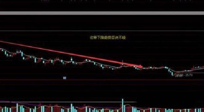 728da9773912b31be1b3ec6de915036adbb4e1b0.jpeg@f_auto 728da9773912b31be1b3ec6de915036adbb4e1b0.jpeg@f_auto